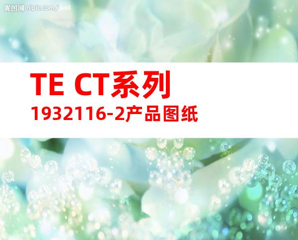 TE CT系列 1932116-2产品图纸